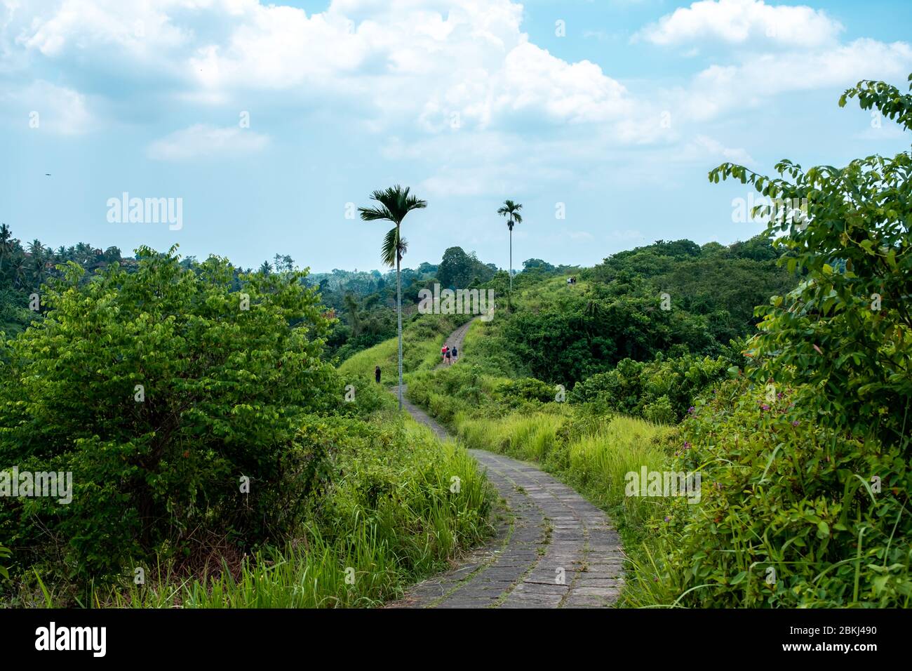 Detail Ubud Wallpaper Nomer 36