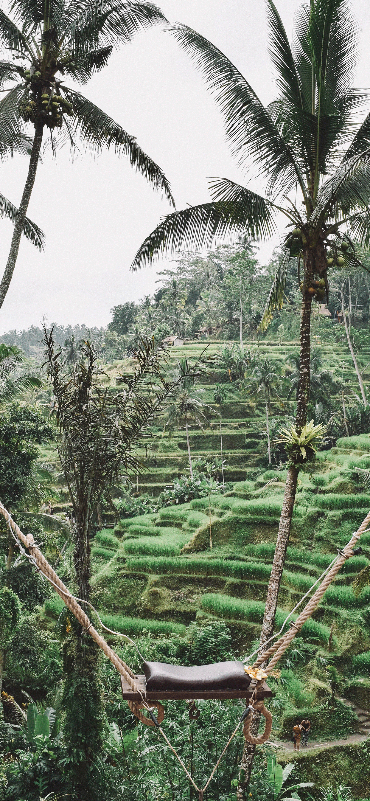 Detail Ubud Wallpaper Nomer 39