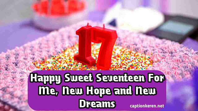 Detail Ucapan Sweet Seventeen Lucu Nomer 7