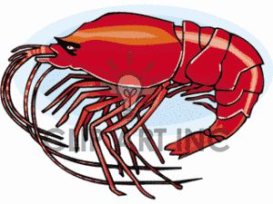 Detail Udang Clip Art Nomer 26