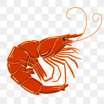 Detail Udang Vector Png Nomer 16