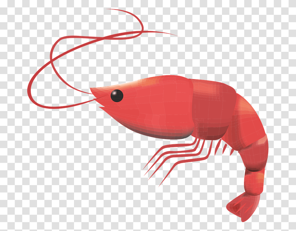 Detail Udang Vector Png Nomer 17