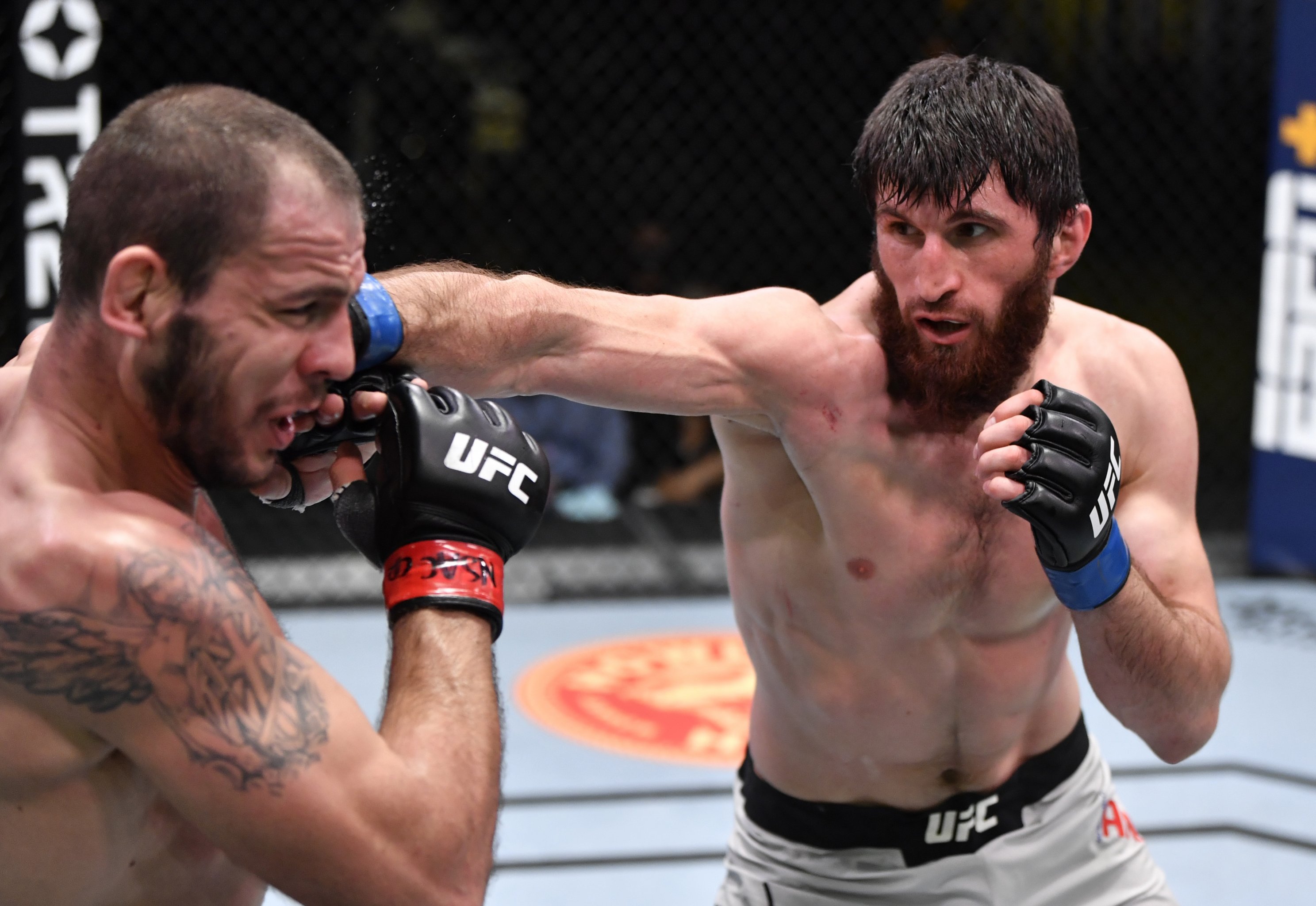 Detail Ufc 186 Torrent Nomer 6