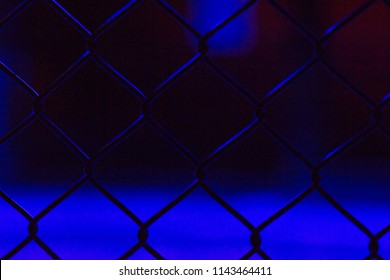 Detail Ufc Background Nomer 11