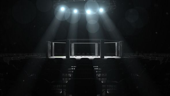 Detail Ufc Background Nomer 18