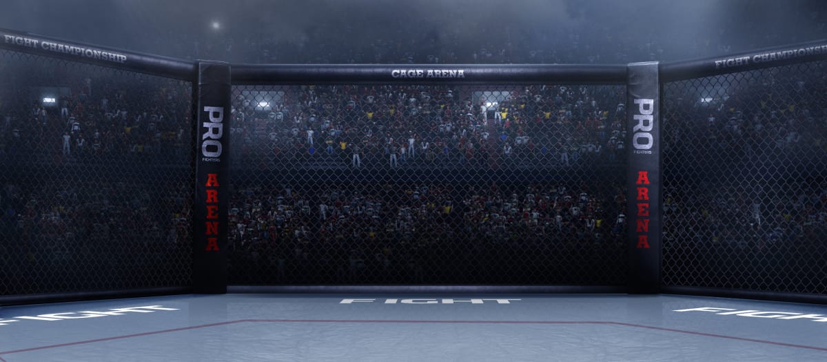 Detail Ufc Background Nomer 5