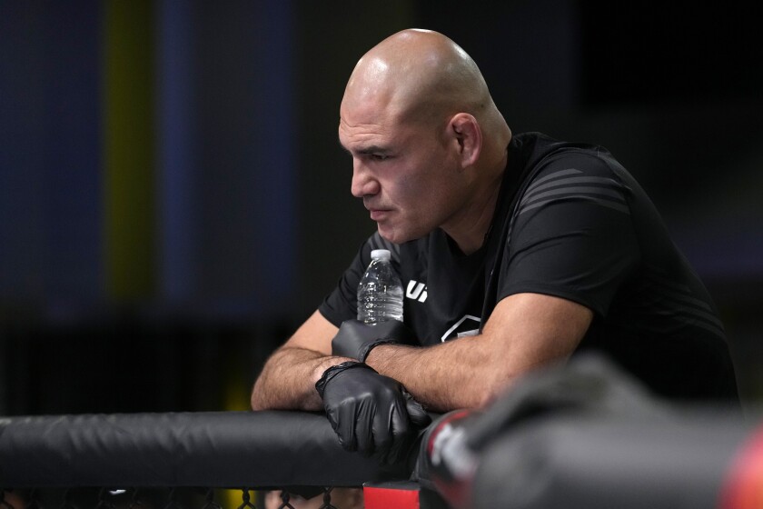 Detail Ufc Fighter Images Nomer 11