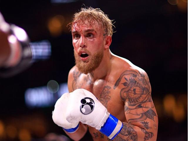 Detail Ufc Fighter Images Nomer 30