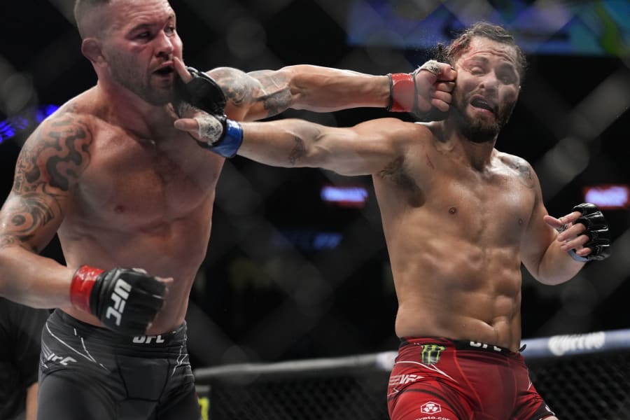 Detail Ufc Fighter Images Nomer 42