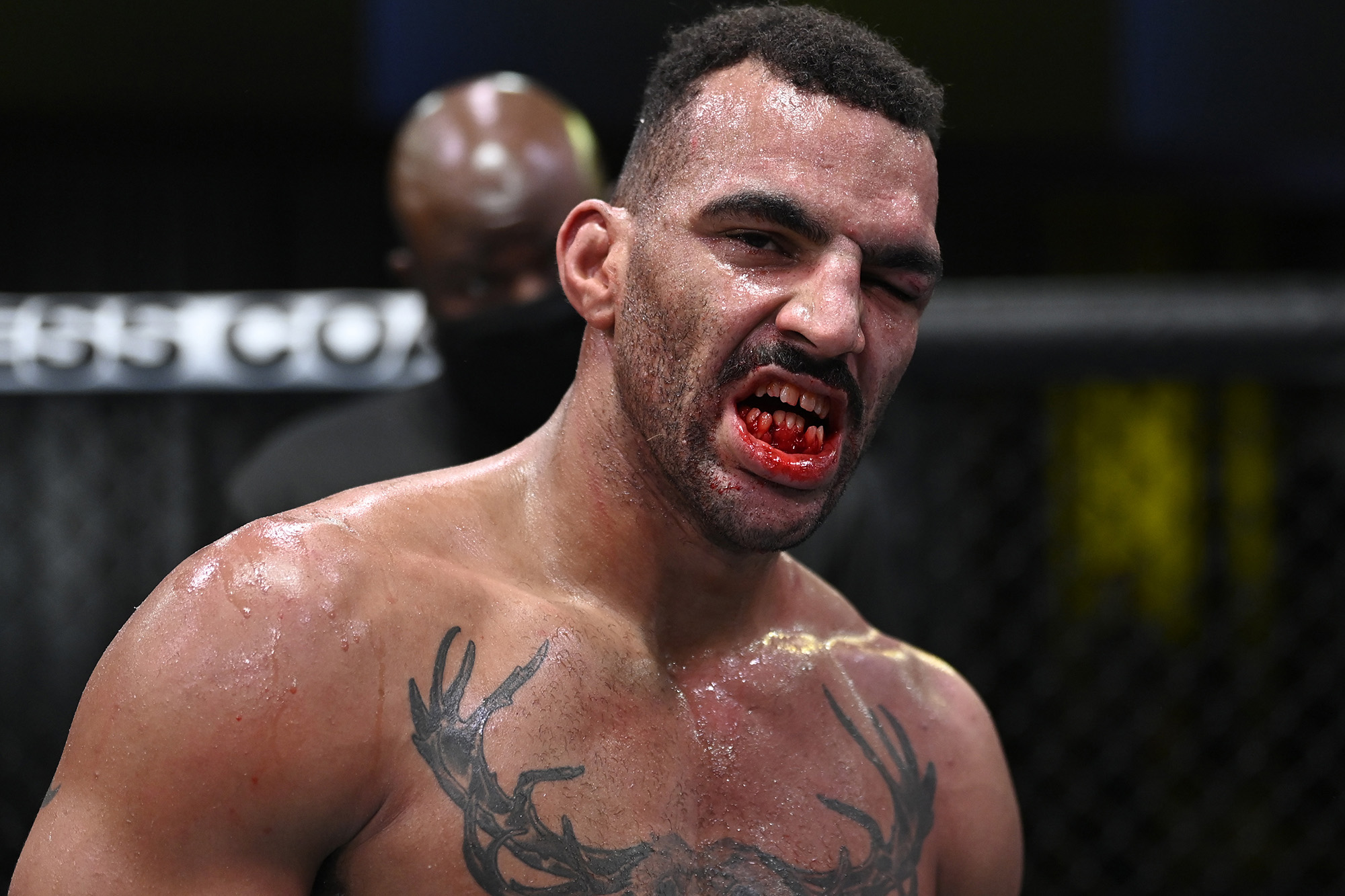 Detail Ufc Fighter Images Nomer 58