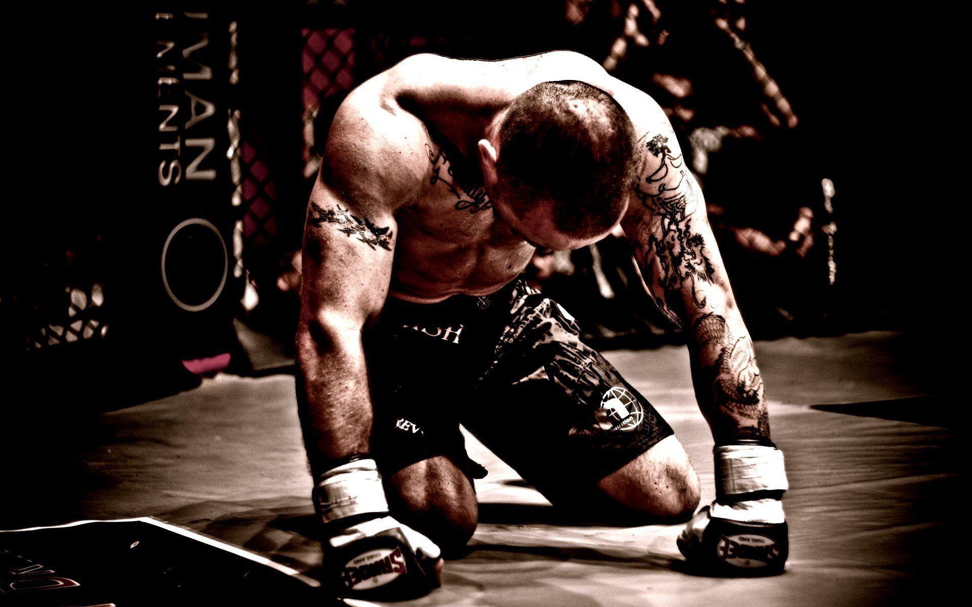 Detail Ufc Fighters Wallpapers Nomer 22