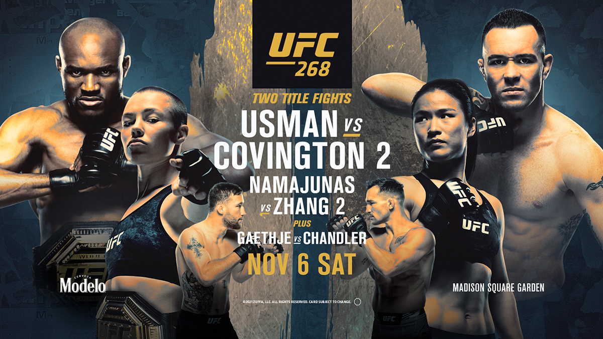 Detail Ufc Fights Downloads Nomer 29