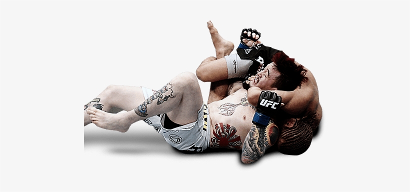 Detail Ufc Fights Downloads Nomer 53