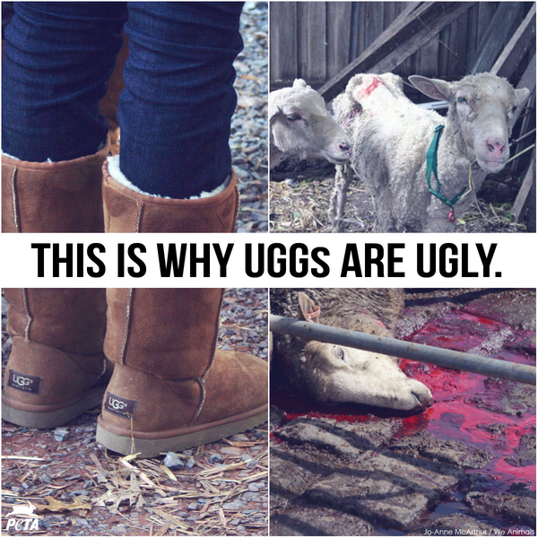 Detail Ugg Boots Meme Nomer 11