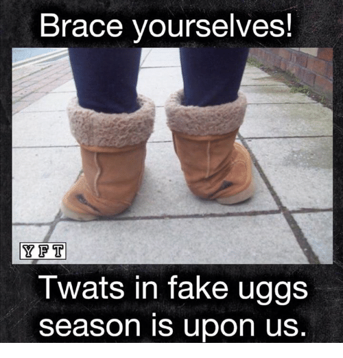 Detail Ugg Boots Meme Nomer 35