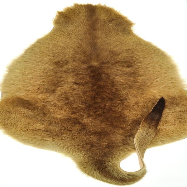 Detail Uggs Kangaroo Skin Nomer 9