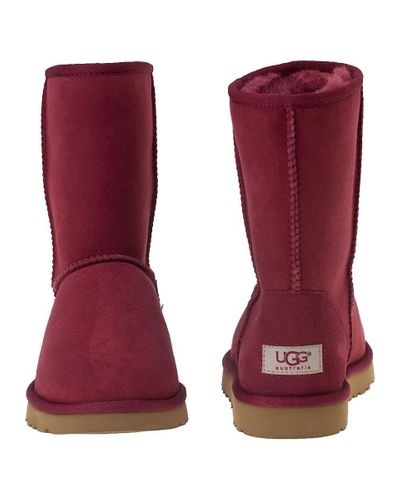 Detail Uggs Plum Wine Nomer 29