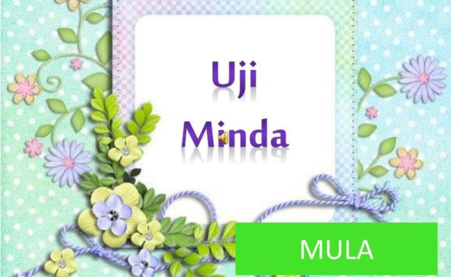 Detail Uji Minda Gambar Nomer 14