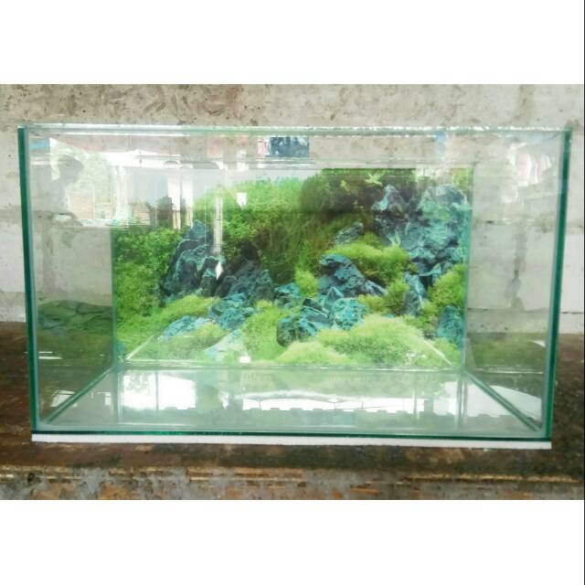 Detail Ukuran Aquarium Aquascape Nomer 21