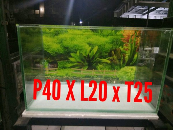 Detail Ukuran Aquarium Aquascape Nomer 5