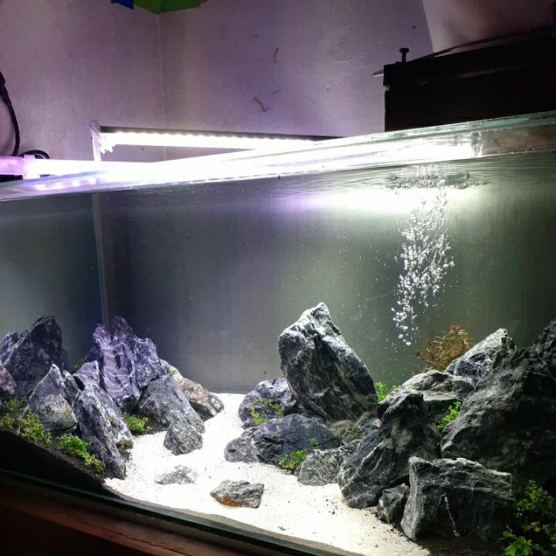 Detail Ukuran Aquarium Aquascape Nomer 48