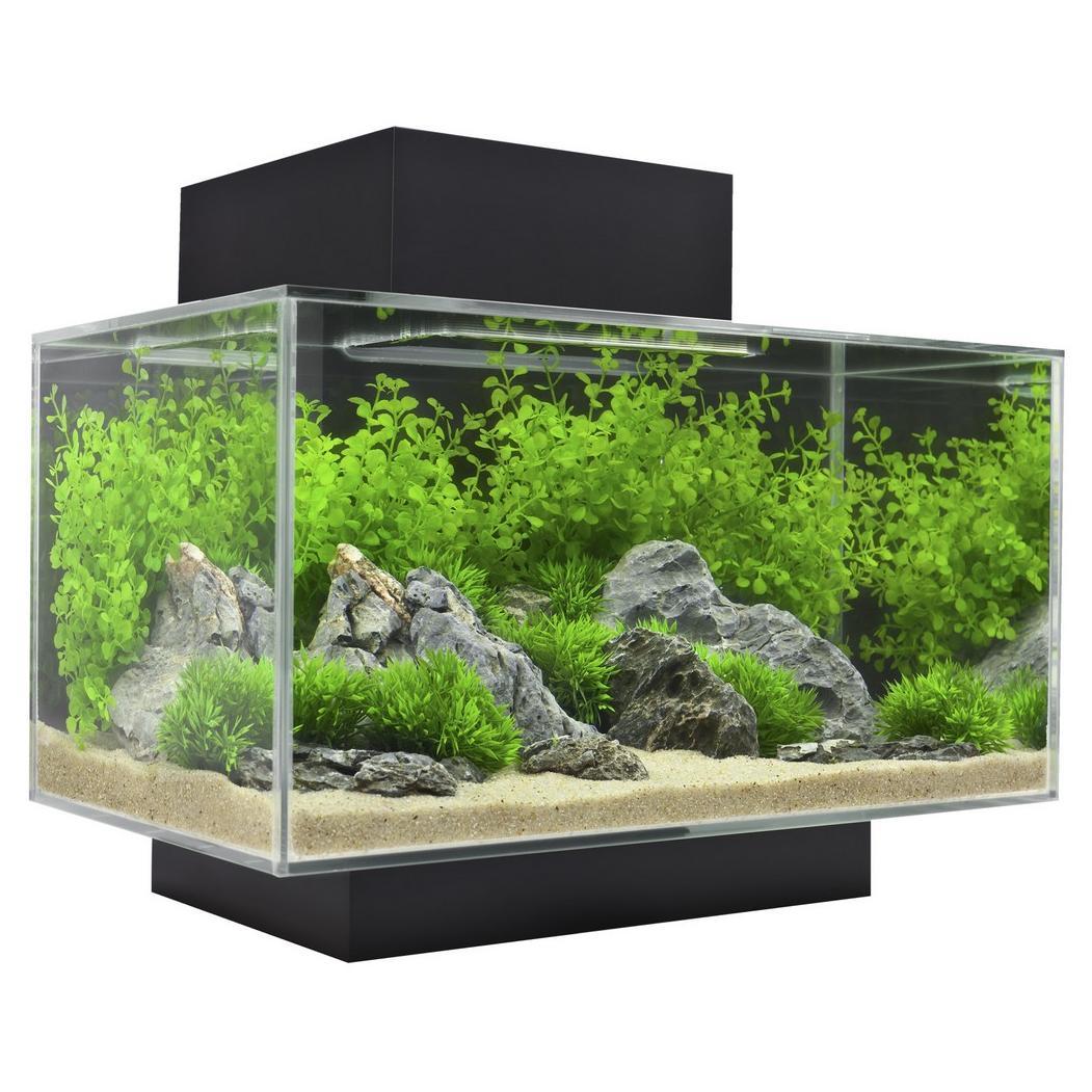 Detail Ukuran Aquarium Untuk Aquascape Nomer 10