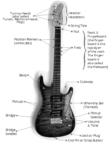 Detail Ukuran Body Gitar Listrik Nomer 38