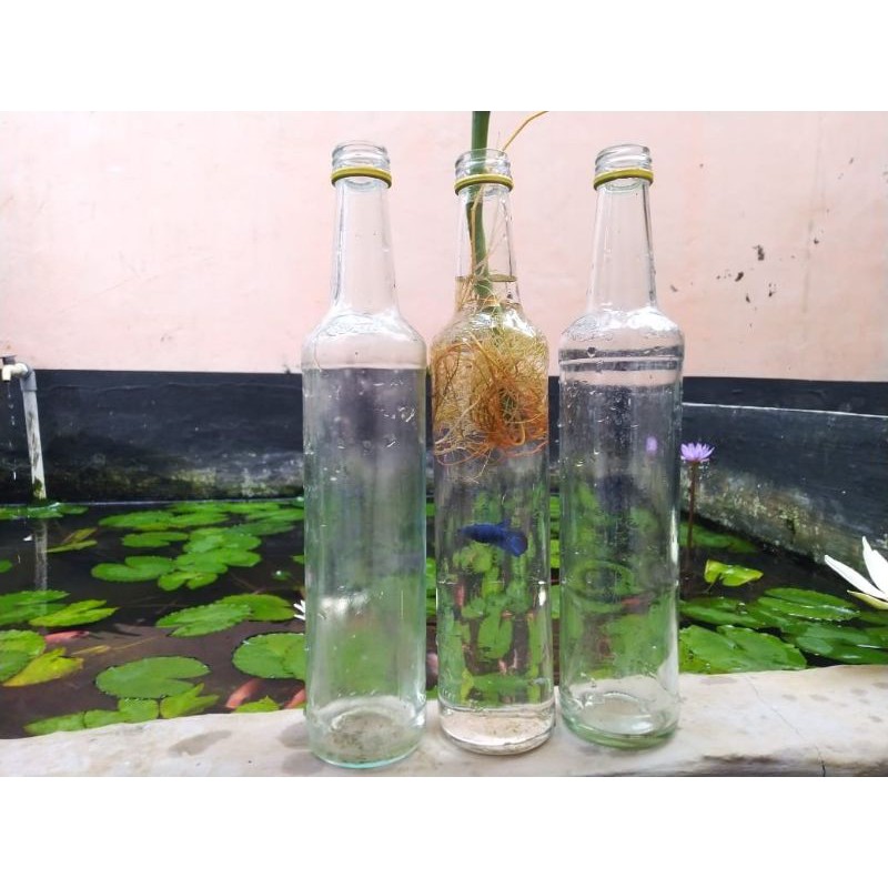 Detail Ukuran Botol Marjan Nomer 46