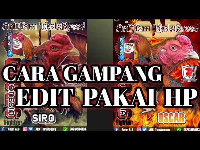 Detail Download Logo Ayam Petarung Nomer 52