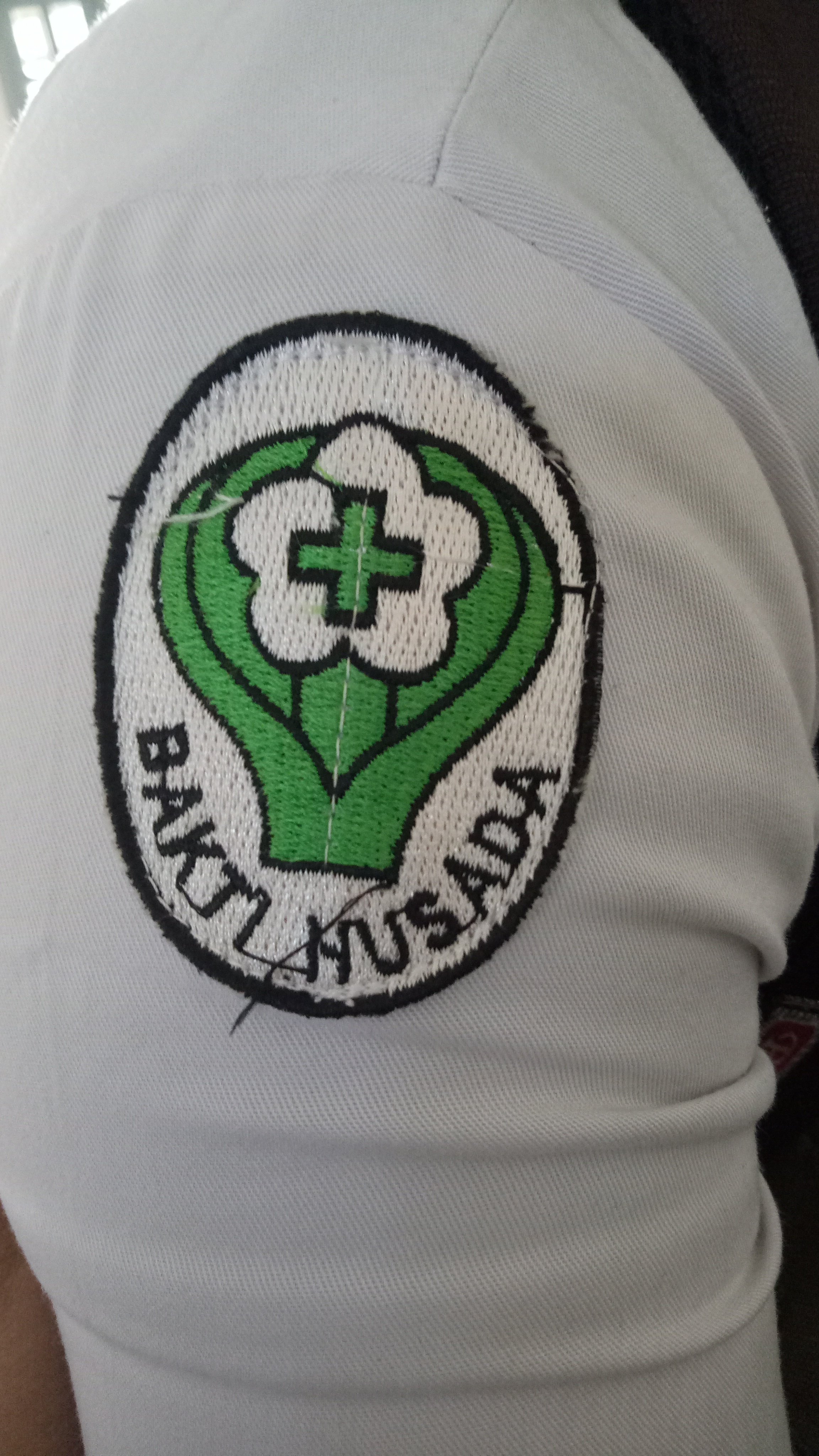 Detail Download Logo Bakti Husada Nomer 41