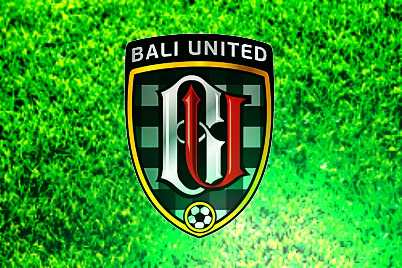 Detail Download Logo Bali United Png Nomer 49