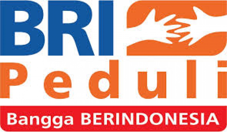 Download Logo Beasiswa Bri - KibrisPDR