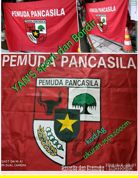 Detail Download Logo Bendera Pemuda Pancasila Ukuran Besar Nomer 13