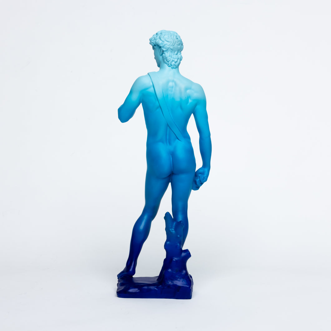Detail Statue Of David Nomer 23
