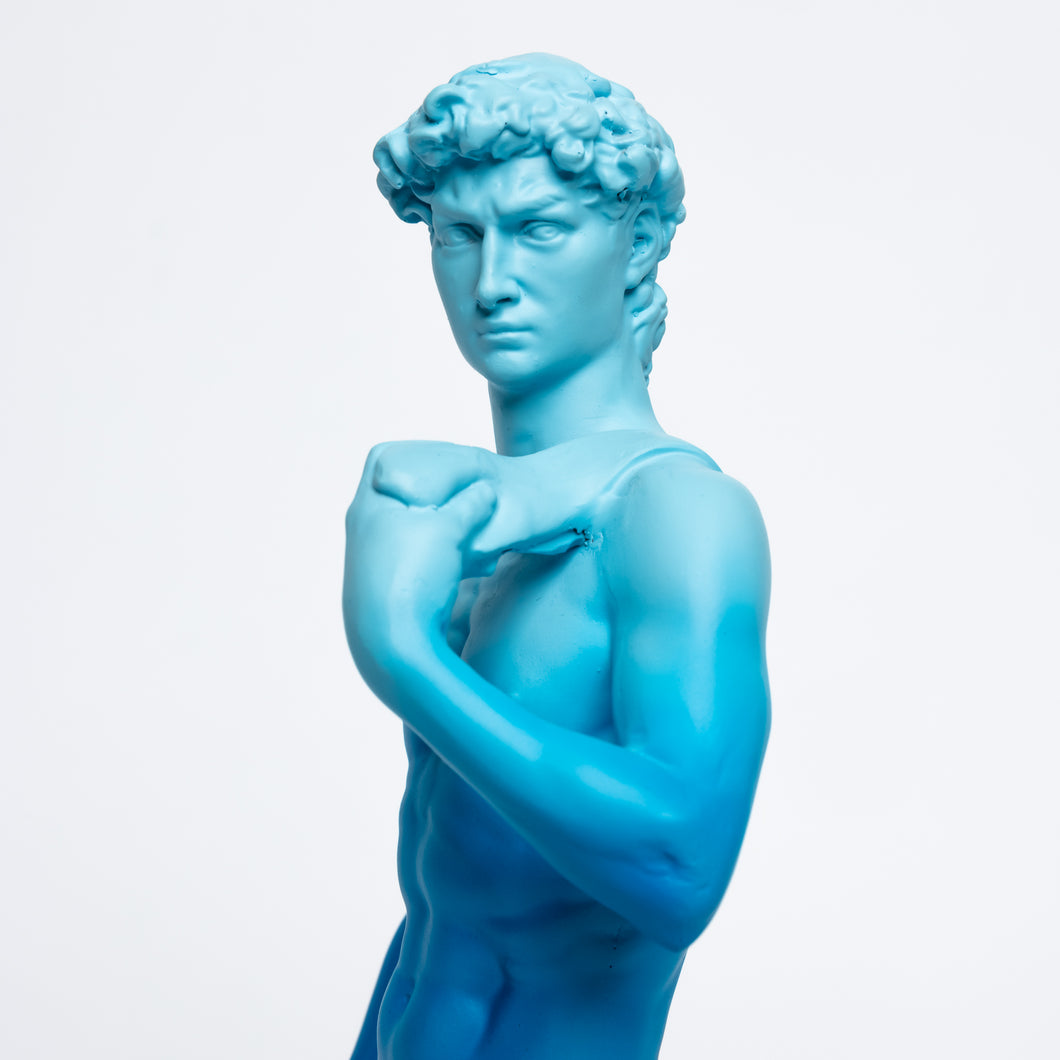 Detail Statue Of David Nomer 27