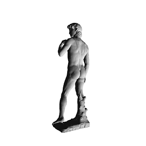 Detail Statue Of David Nomer 6