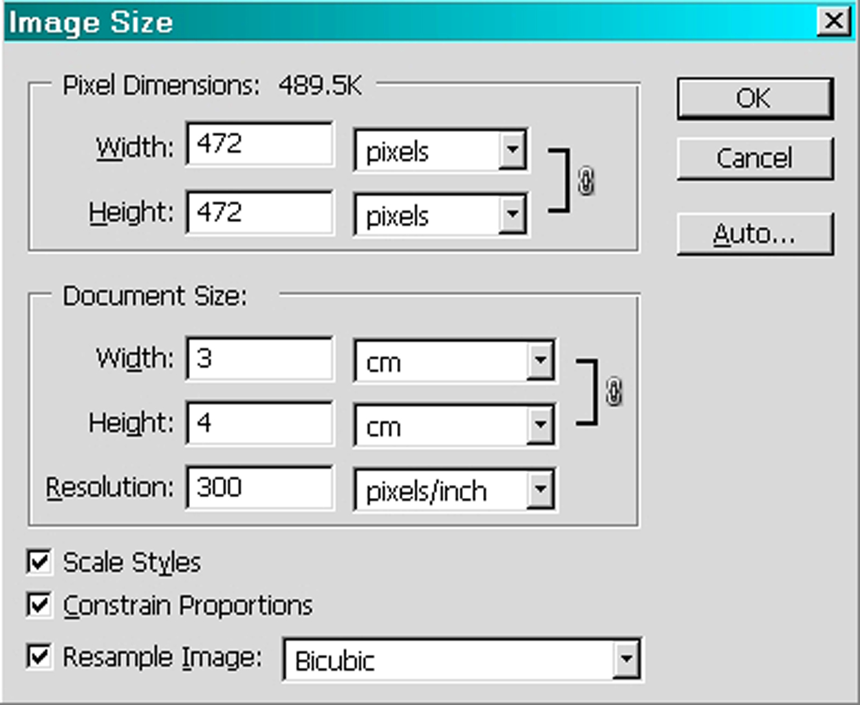 Detail Ukuran Foto 3x4 Pixel Nomer 9