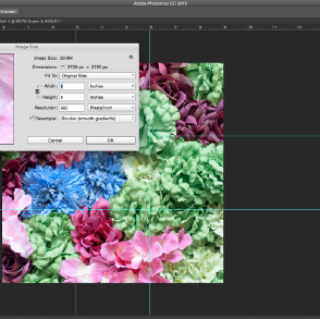 Detail Ukuran Foto Instagram Di Photoshop Nomer 11