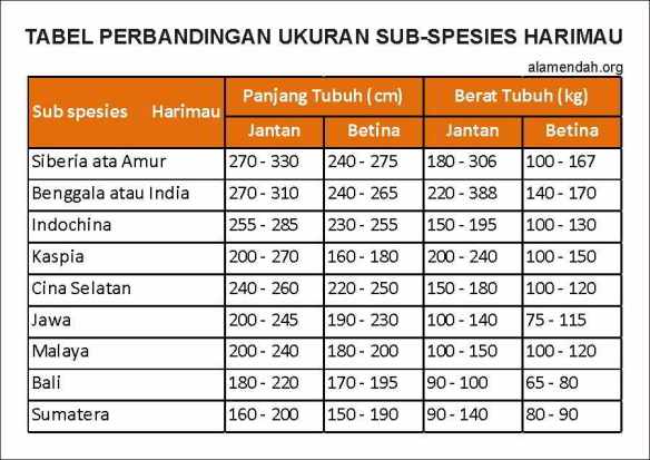 Detail Ukuran Foto Paling Kecil Nomer 13