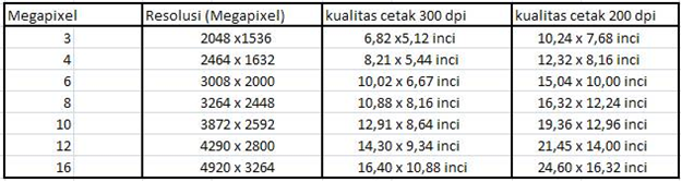 Detail Ukuran Foto Pixel Nomer 30