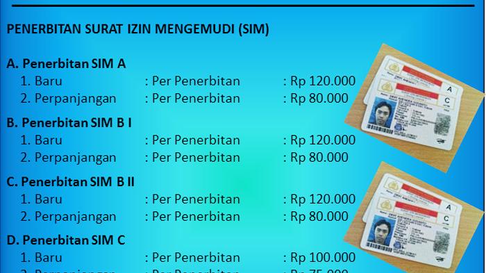 Detail Ukuran Foto Sim Internasional Nomer 26