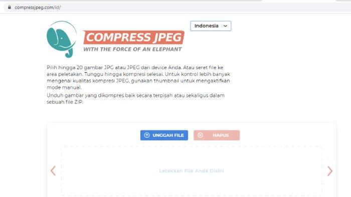 Detail Ukuran Gambar Di Web Merah Nomer 31