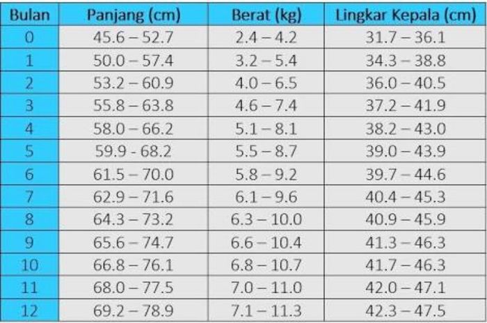 Detail Ukuran Gambar Normal Nomer 21