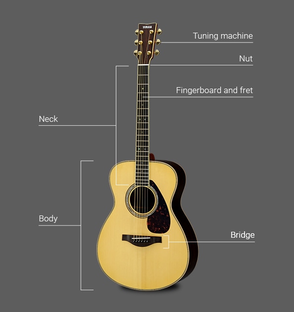 Ukuran Gitar Akustik Yamaha - KibrisPDR