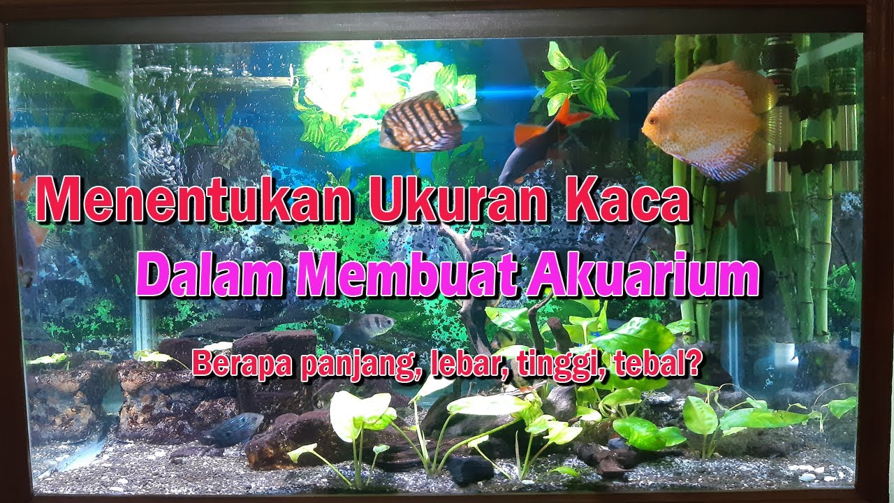 Detail Ukuran Kaca Aquarium 1 Meter Nomer 29