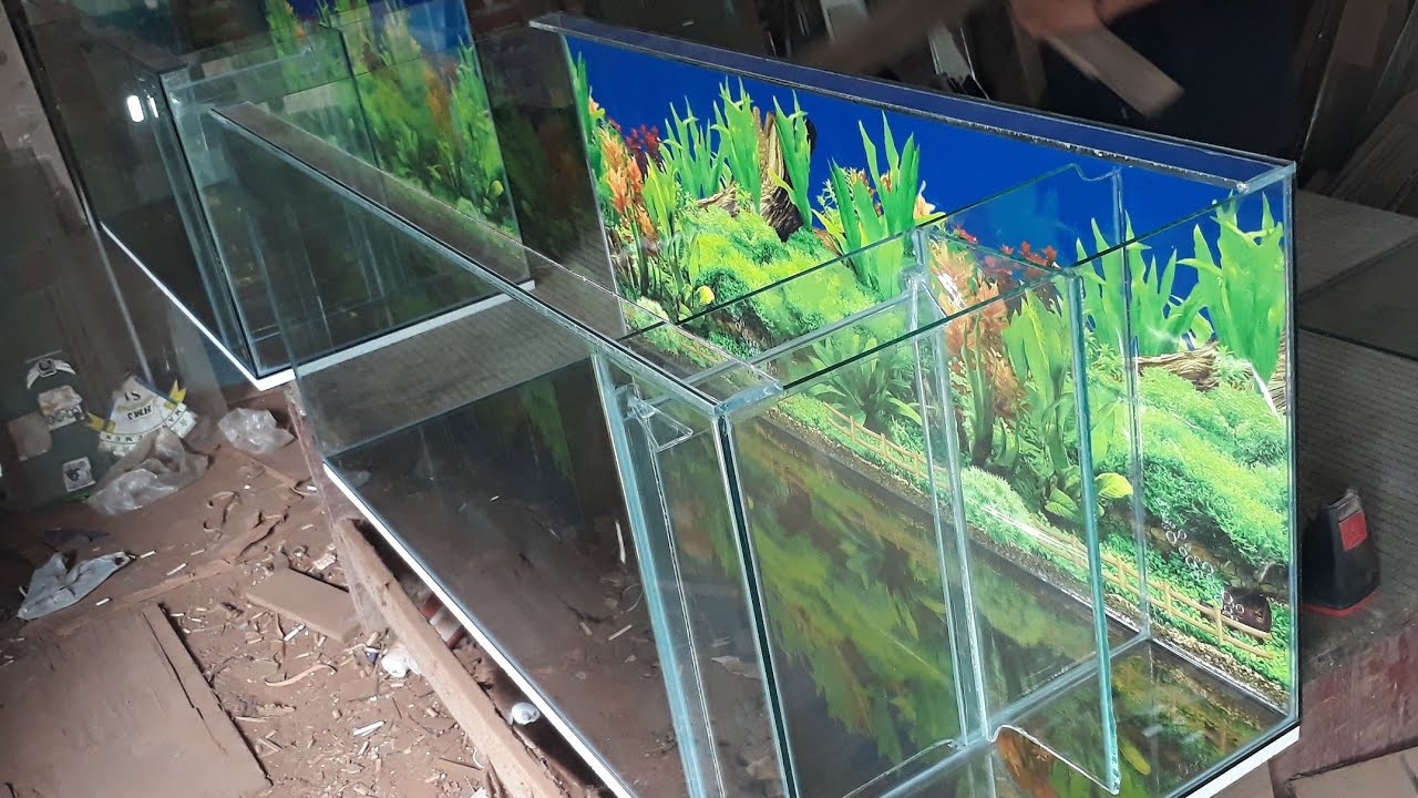 Detail Ukuran Kaca Aquarium 1 Meter Nomer 42