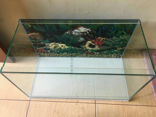 Detail Ukuran Kaca Aquarium 1 Meter Nomer 52