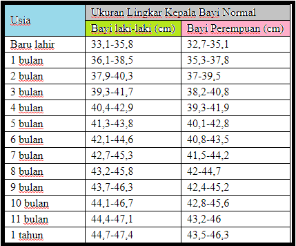 Detail Ukuran Kepala Gambar Nomer 30