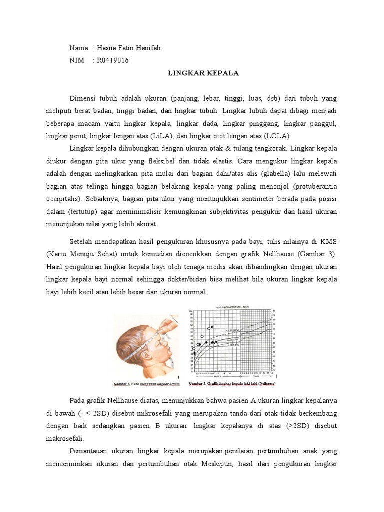 Detail Ukuran Kepala Gambar Nomer 42