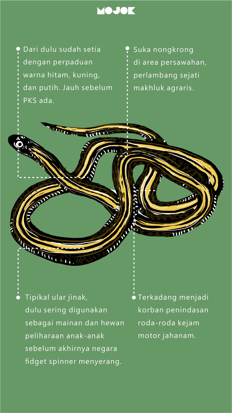 Detail Ular Hitam Garis Kuning Nomer 10